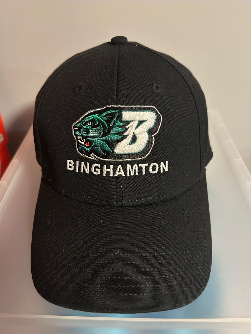 Black Binghamton Baseball Cap with Embroidered Logo